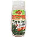 Bione Cosmetics Cannabis šampon na mastné vlasy 260 ml