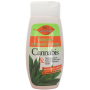Bione Cosmetics Cannabis šampon na mastné vlasy 260 ml