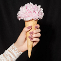 Catrice ICONails Gel Lacque lak na nehty 88 Pink Makes The Heart Grow Fonder 10,5 ml