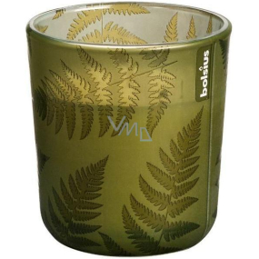 Bolsius Kapradí zelená vonná svíčka ve skle 73 x 80 mm, doba hoření 36 hodin