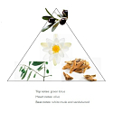 Panier des Sens Oliva krém na ruce 75 ml
