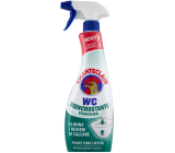 Chante Clair WC Schiumattiva Disincrostante odvápňovací čistící pěna sprej 625 ml