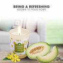 Air Wick Essential Oils White Melon & Ylang Ylang - Bílé melouny a ylang ylang vonná svíčka sklo 185 g