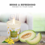 Air Wick Essential Oils White Melon & Ylang Ylang - Bílé melouny a ylang ylang vonná svíčka sklo 185 g