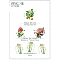 Panier des Sens Zářivá pivoňka čisticí pěna s květinovou vůní 150 ml