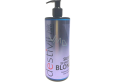 Professional Hair Care Destivii Silver Blond šampon na blond vlasy 500 ml