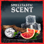 Old Spice White Wolf deodorant stick pro muže 50 ml