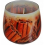 Essences of Life Skořice aromatická svíčka ve skle 100 g