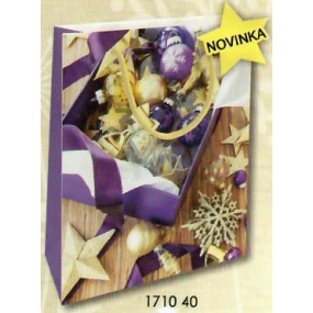 Nekupto Dárková papírová taška 23 x 18 x 10 cm Vánoční 1710 40 WBM