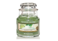 Yankee Candle Vanilla Lime - Vanilka s limetkou vonná svíčka Classic malá sklo 104 g