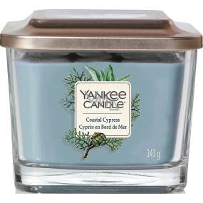 Yankee Candle Coastal Cypress - Pobřežní cypřiš sojová vonná svíčka Elevation střední sklo 3 knoty 347 g