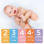 Linteo Baby Premium 4+ Maxi 10 - 17 kg jednorázové plenky 46 kusů