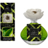 Lady Venezia Luxury Fiori di Bergamotto - Květy bergamotu aroma difuzér s květem pro postupné uvolňování vůně 100 ml