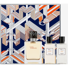 Hermes Terre D Hermes toaletní voda pro muže 50 ml + sprchový gel 40 ml + balzám po holení 40 ml, dárková sada