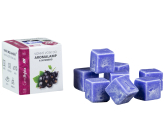 Kozák Černý rybíz přírodní vonný vosk do aromalamp a interiérů 8 kostiček 30 g