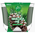 Glade by Brise Nordic Crisp Pine s vůní borovice, jalovce a jmelí vonná velká svíčka ve skle, doba hoření až 52 hodin 224 g