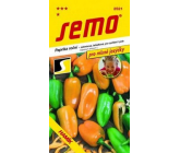 Semo Paprika roční zeleninová, lahůdková Hamík 30 semen