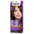 Schwarzkopf Palette Intensive Color Creme barva na vlasy odstín H6 Medově hnědý