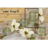 Lima Wellness Present Borový les aroma svíčka zelená válec 70 x 150 mm 1 kus - poškozená