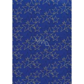 Ditipo Dárkový balicí papír 70 x 200 cm Vánoční modrý zlaté a černé hvězdy