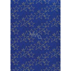 Ditipo Dárkový balicí papír 70 x 200 cm Vánoční modrý zlaté a černé hvězdy