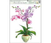 Okenní fólie bez lepidla orchideje světle růžová 42 x 30 cm