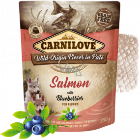 Carnilove Dog Pouch Paté Losos s borůvkami bezobilné kapsičky pro štěňata 300 g