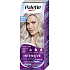Schwarzkopf Palette Intensive Color Creme barva na vlasy Chladný Stříbřitě Plavý 10-19