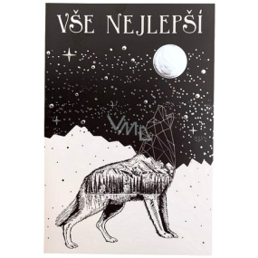 Nekupto Přání všeobecné Vše nejlepší 115 x 170 mm 3571 F