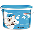 Colorlak Prointeriér Profi malířská barva 8 kg