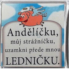 Nekupto Veselé magnetky Andělíčku, můj strážníčku, uzamkni přede mnou ledničku 6 x 6 cm