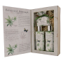 Bohemia Gifts Botanica Konopný olej sprchový gel 200 ml + šampon na vlasy 200 ml + toaletní mýdlo 100 g, kniha kosmetická sada