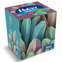 Velvet Ecopack hygienické kapesníky 3 vrstvé 56 kusů v krabičce