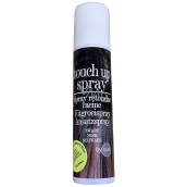 Touch Up Spray sprej pro krytí šedin a odrostů Černá 75 ml