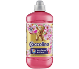 Coccolino Creations Honeysuckle & Sandalwood koncentrovaná aviváž 51 dávek 1,275 l