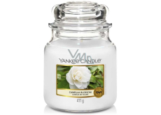 Yankee Candle Camellia Blossom - Kamélie vonná svíčka Classic střední sklo 411 g