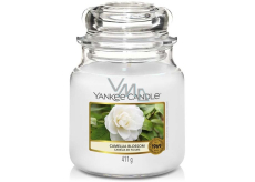 Yankee Candle Camellia Blossom - Kamélie vonná svíčka Classic střední sklo 411 g