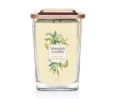 Yankee Candle Citrus Grove - Citrusový háj sojová vonná svíčka Elevation velká sklo 2 knoty 552 g