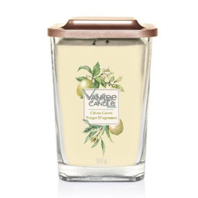 Yankee Candle Citrus Grove - Citrusový háj sojová vonná svíčka Elevation velká sklo 2 knoty 552 g