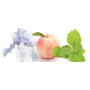 Bvlgari Splendida Patchouli Tentation parfémovaná voda pro ženy 30 ml