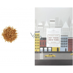 Castelbel Hey There New York - Zelené jablko vonný sáček 3 g