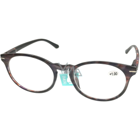 Berkeley Čtecí dioptrické brýle +1,0 plast fialovohnědé, kulaté skla 1 kus MC2171