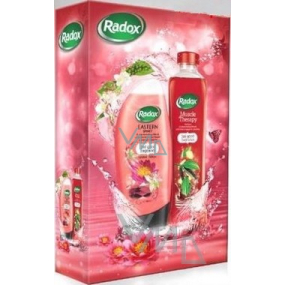 Radox Eastern Spirit sprchový gel 250 ml + koupelová pěna 500 ml, kosmetická sada