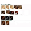 Garnier Color & Shine barva na vlasy 4.15 ledově kaštanová