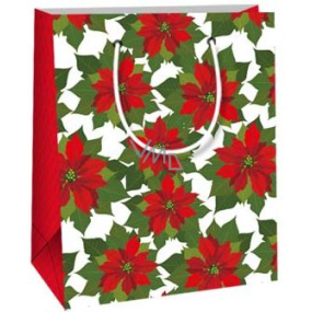 Ditipo Dárková papírová taška 11,5 x 6,5 x 14,5 cm bílý podklad Vánoční hvězda E