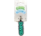 Nekupto Cool jmenná klíčenka David 1 kus