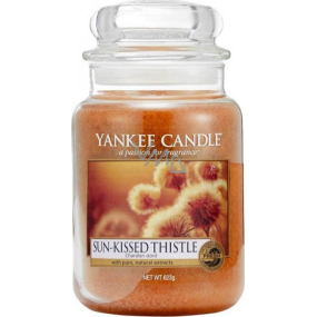 Yankee Candle Sun Kissed Thistle - Dokonalá podzimní vůně vonná svíčka Classic velká sklo 623 g