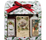 Bohemia Gifts Veselé Vánoce Vánoční sprchový gel 2 x 100 ml + jablko a skořice vonná karta 11 x 6,3 cm, kosmetická sada