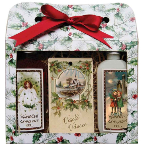 Bohemia Gifts Veselé Vánoce Vánoční sprchový gel 2 x 100 ml + jablko a skořice vonná karta 11 x 6,3 cm, kosmetická sada