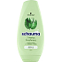 Schauma 7 Herbs Freshness balzám na vlasy, 250 ml